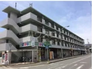 プラトゥモリの画像