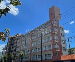 ビッグ武蔵野田無の画像