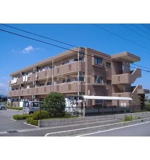 ユーミーサンライズの画像