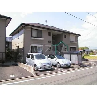 アムールの画像