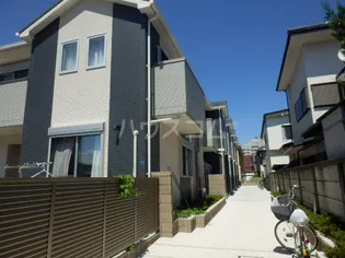 サザンクロスの画像