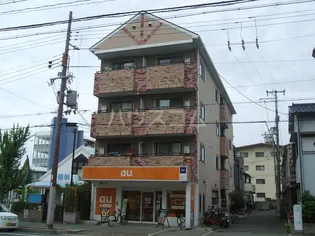 ソニア池浦の画像