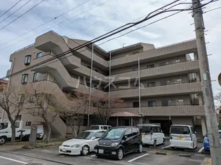 BELLE CREERの画像