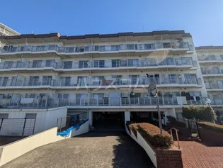 ルネ立石の画像