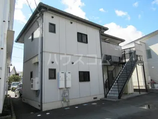 グレイス横割の画像