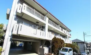 ハイム プルヌスの画像