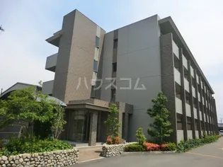 ハニーエストゥディオの画像