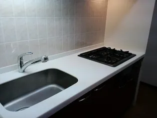 レジディア入谷【702号室】の間取り