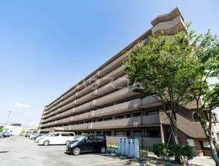 インペリアル大賀の画像