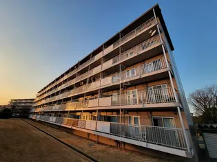 高津団地5街区1棟の画像