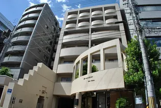 ヴォールヴォランの画像