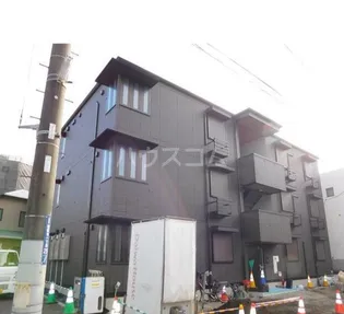 カメリアの画像