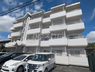 M サンシャインの画像