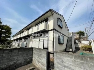 フラット サンフラワーの画像