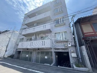 ホワイトクレステの画像