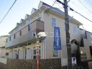 ゼフィランサス五香の画像