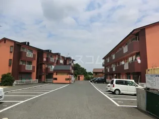 ラフィーネMAYUの画像