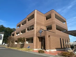 マロンコートの画像