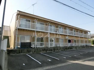 パレスカモメの画像