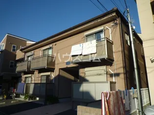 アガパンサスの画像