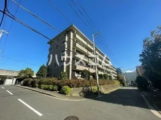 グレース代官3の画像