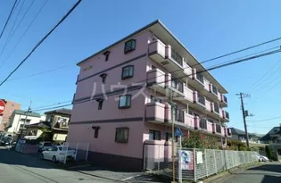 クレール横山の画像