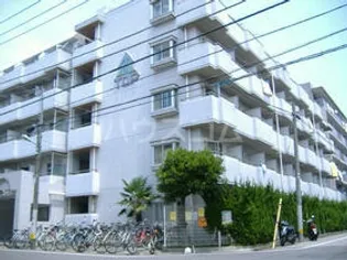 トップ金町の画像