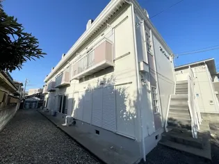 スターフィール45の画像