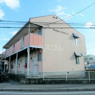 シュロス比呂美Bの画像