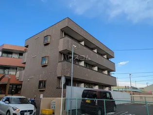 ラフィーネの画像