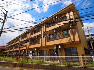 エバーグレイス分倍の画像