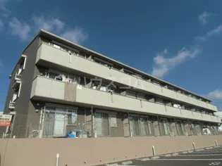 グレースVIIIの画像