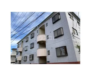 シェモア87の画像