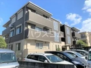 グリシンヌカーサの画像