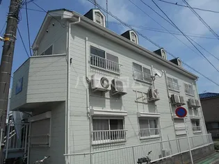 スター ポイントの画像