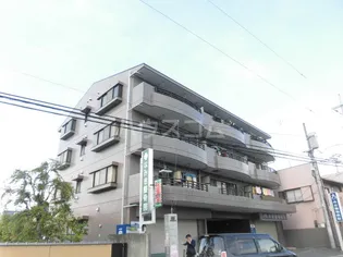 エクセルなみきの画像