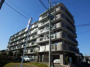 ベルレージュ船橋の画像