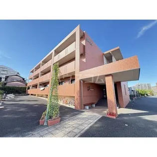 プライベート フォレストの画像