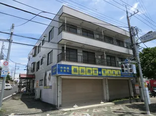 グレイスメジロの画像