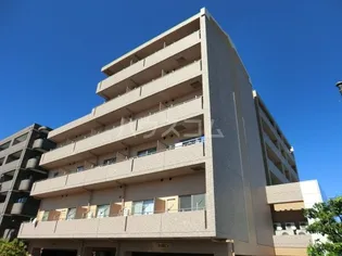 ケンブリッジアサカの画像