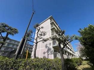 高州三丁目団地【1階】の間取り