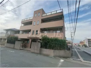 グランドコスモの画像