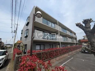 ピアー エクセレント3の画像