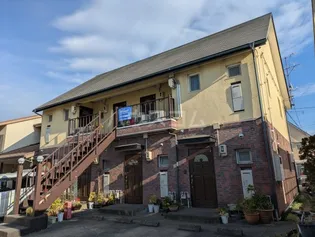 エバーグリーンT'Sの画像