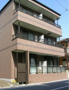 カメリアIIIの画像