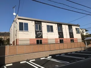 シャルマンの画像