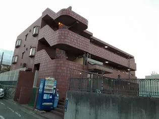 コーラル リーフの画像