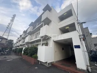 ホワイトハイツの画像