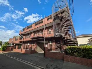 セントポーリアの画像