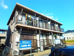 サンテ サクラの画像